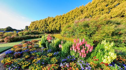 Spring Colours - Cowra 